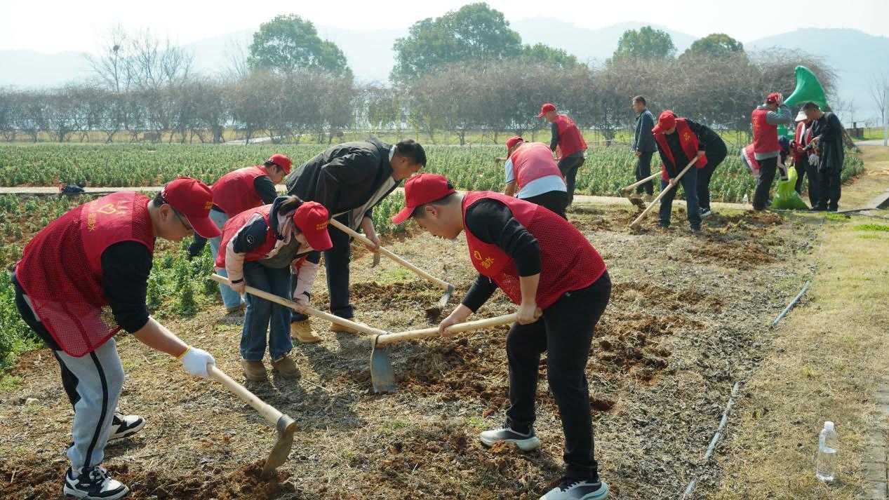 3.13旅游公司植树3.jpg