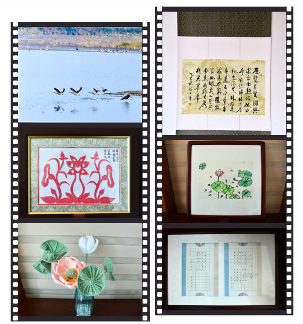 微信图片_2025-11-04_172902_094.png
