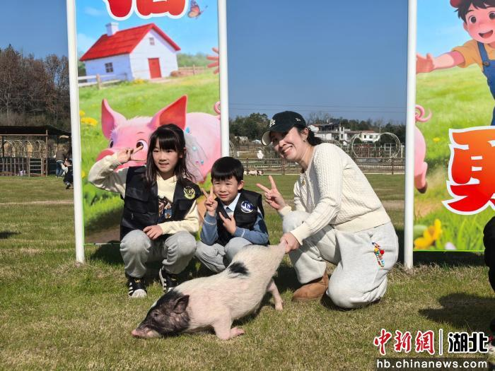 微信图片_20251230092317_1_252.png