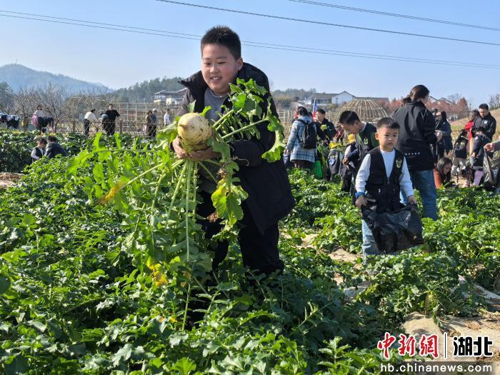 微信图片_20251230092324_2_252.png